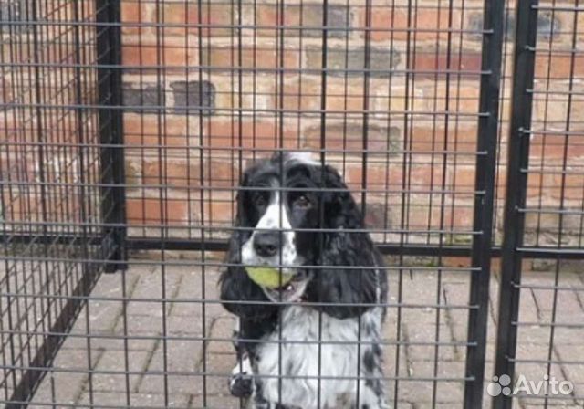 Вольер для собак