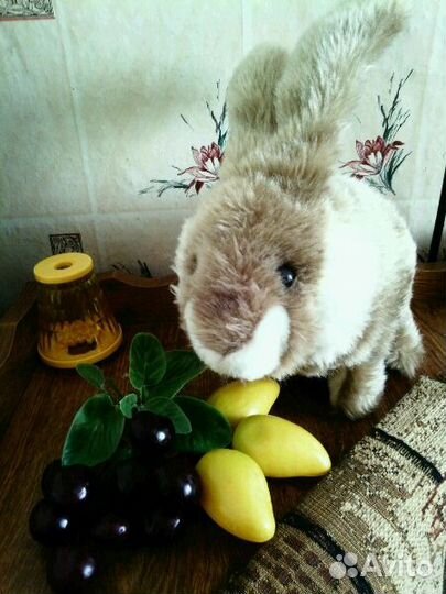 Мой кролик