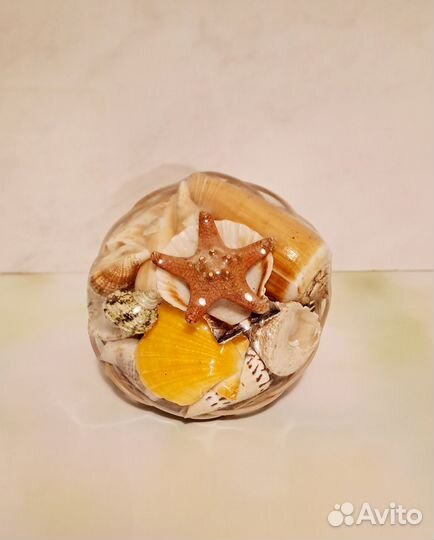 Набор ракушек для творчества и любования