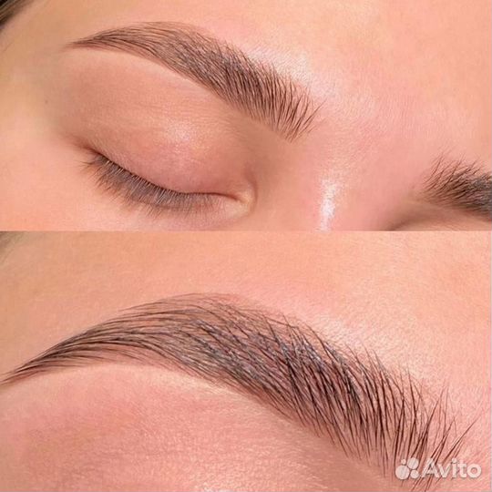 Мастер бровист