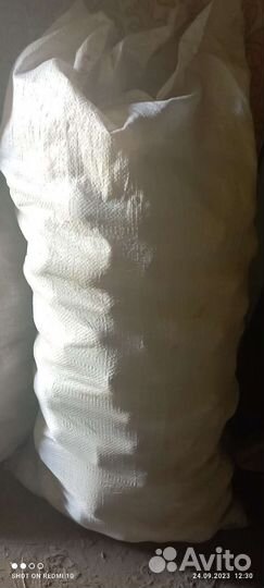 Картошка домашняя