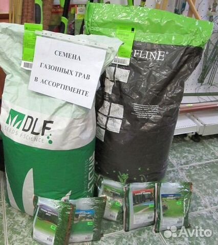Семена. Смесь газонных трав купить в Краснодаре | Товары для дома и ...