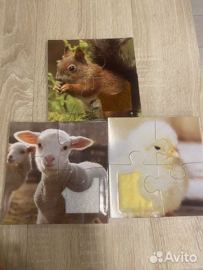 Развивающие игрушки