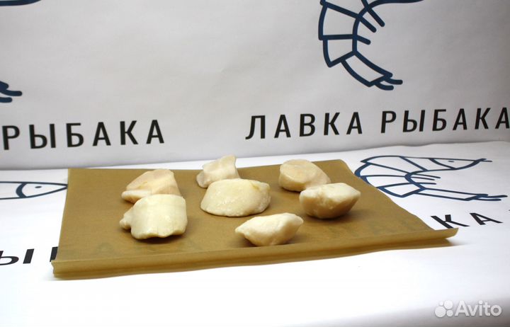 Сахалинский морской гребешок