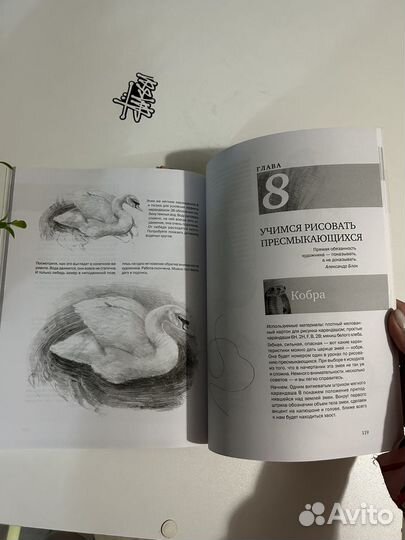 Книги по рисованию и живописи