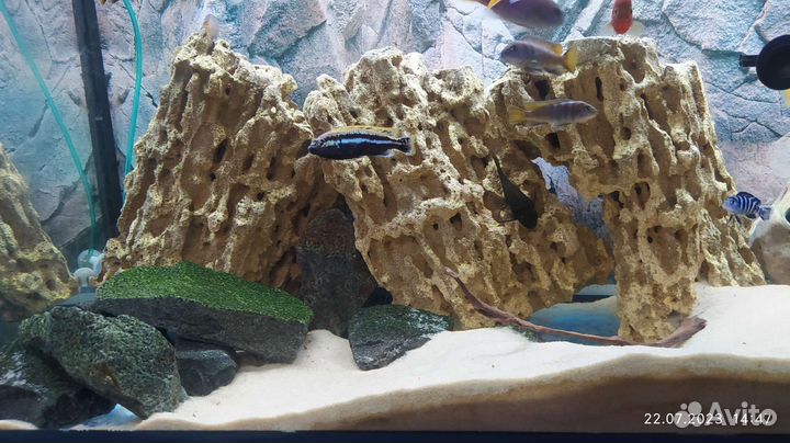 Для аквариума