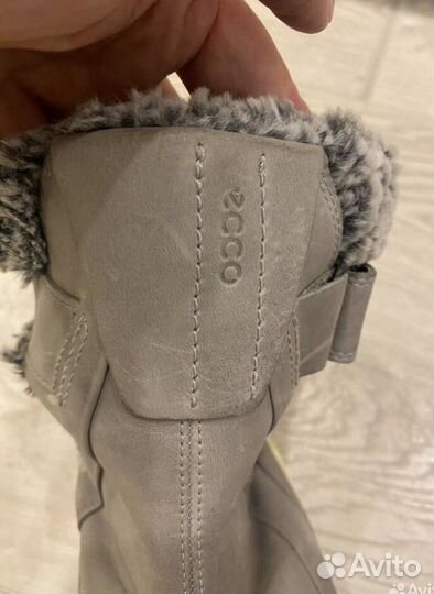 Сапоги женские Ecco