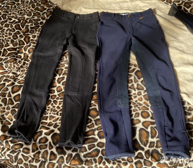 Брюки для конного спорта и шлем