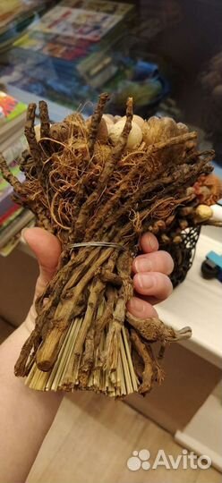 Букет сухоцветов для декора и творчества