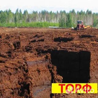 Торфогрунт