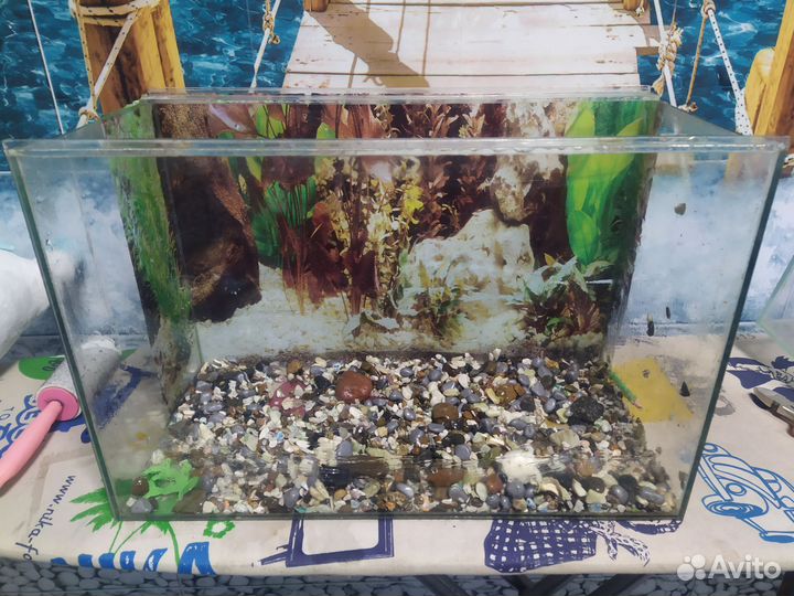 Аквариум