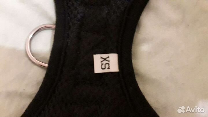 Шлейки и поводок