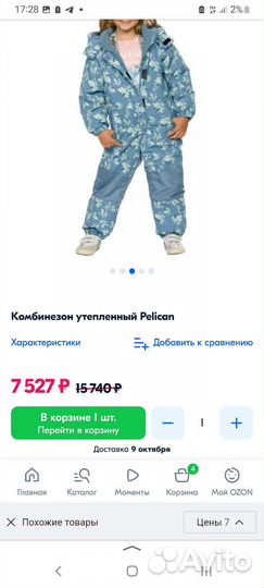 Зимний комбинезон