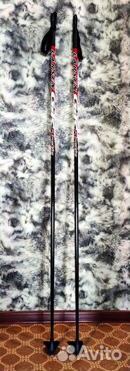 Беговые лыжи Arctic Gt Larsen