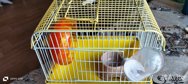 Клетка для джунгарского хомяка