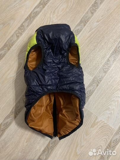 Жилет для собаки