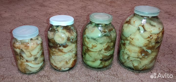 Грибы грузди соленые