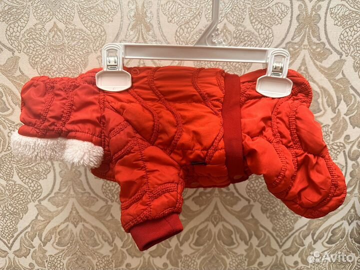 Одежда для собак