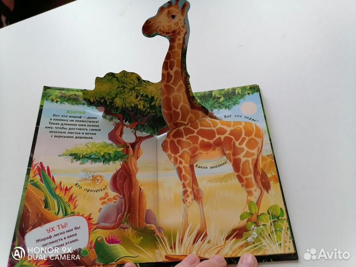 Книги панорамы pop - up