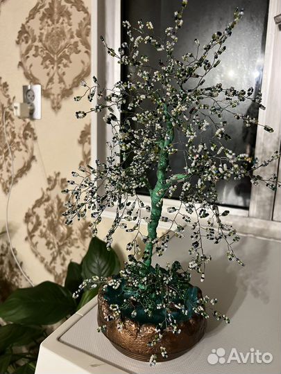 Спатифиллум