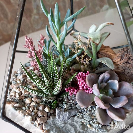 Флорариум капля