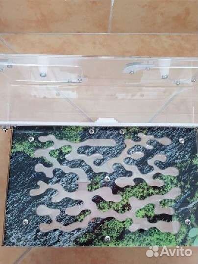 Муравьиная ферма