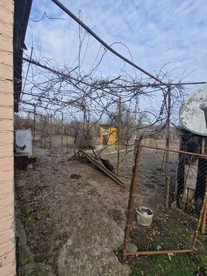 Дом 54 м² на участке 20 сот.