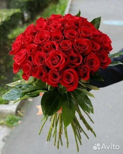 Розы Букет Роз Цветы в Иркутске