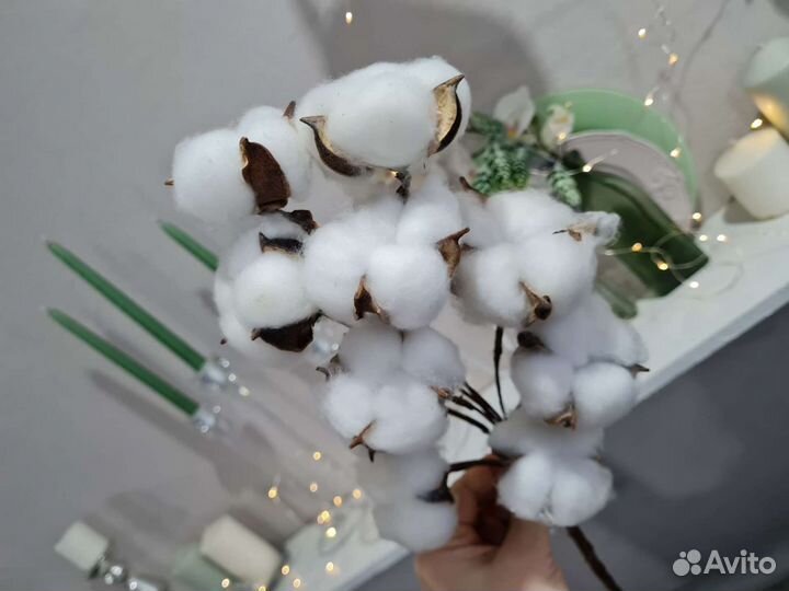 Хлопок сухоцвет букет (45-50см высота)