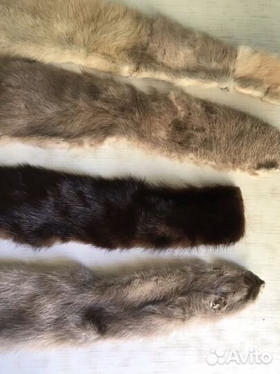 Шкурки норки