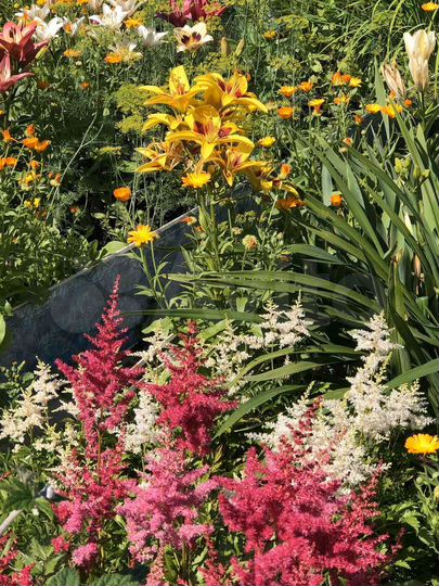 Дача 20 м² на участке 4,5 сот.