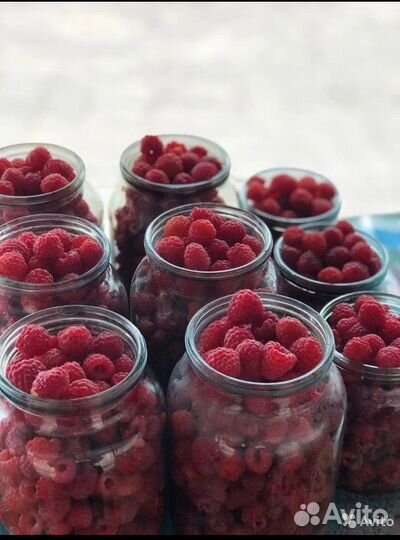 Малина свежая