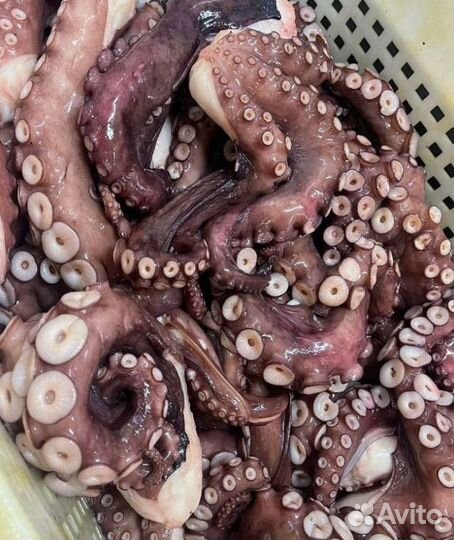 Икра, краб, креветка, рыба, морепродукты оптом