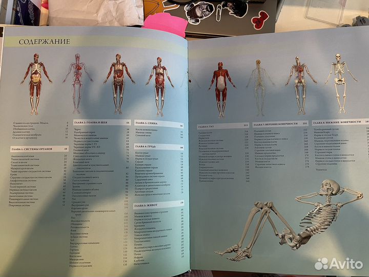 Медицинские учебники