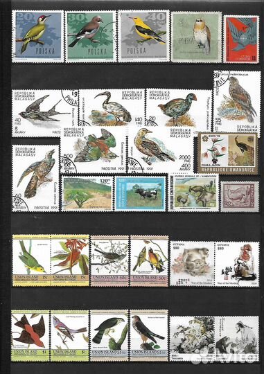 Марки Фауна. Часть 2