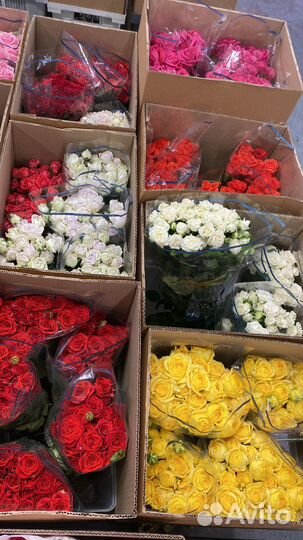 Цветы букеты оптом и в розницу