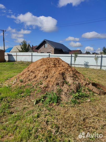 Отдам бесплатно грунт