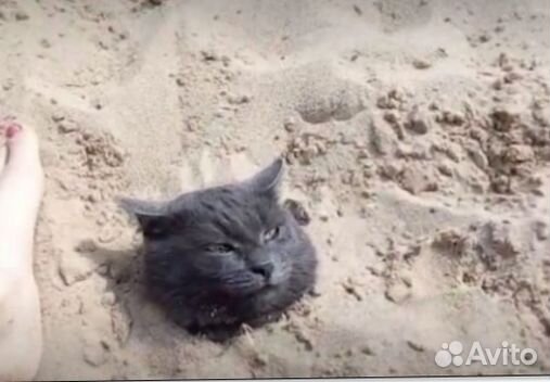 Песок гравий от производителя