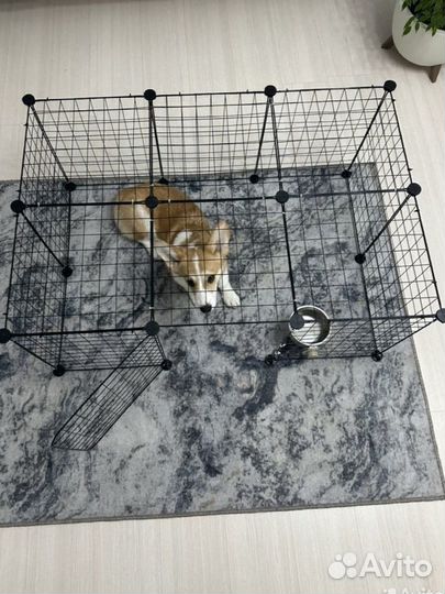 Вольер для собак в квартиру