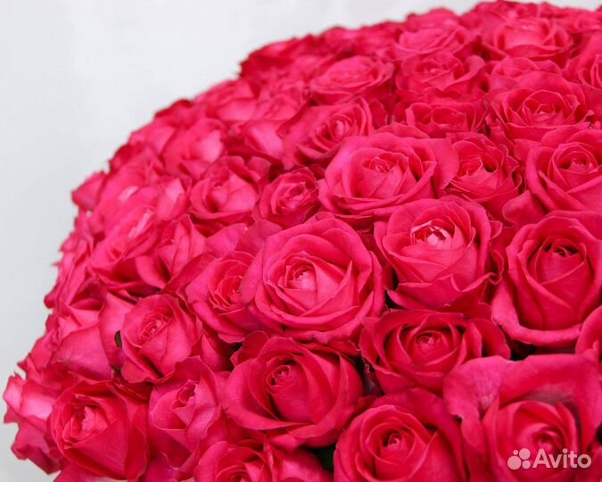 Цветы, розы, 25, 35, 51, 201 роза