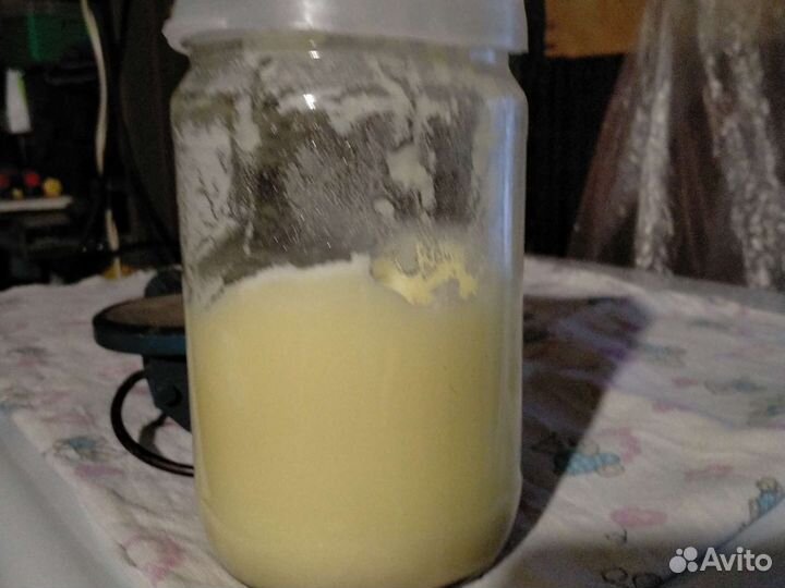 Индоутки гуси на мясо