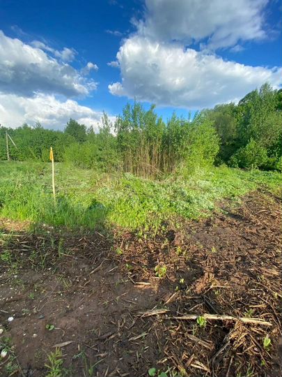 Участок 12 сот. (ИЖС)