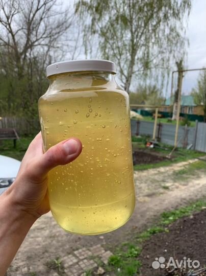 Мед майский Акация+Сады свежий с доставкой 2023