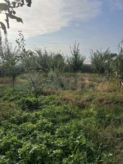 Дом 60 м² на участке 19 сот.