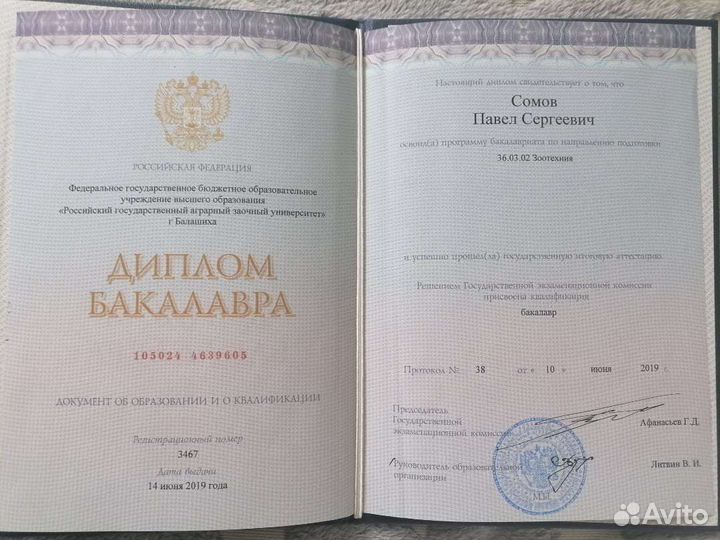 Инструктор по дрессировке
