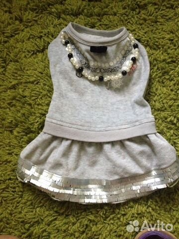 Одежда для маленькой собачки