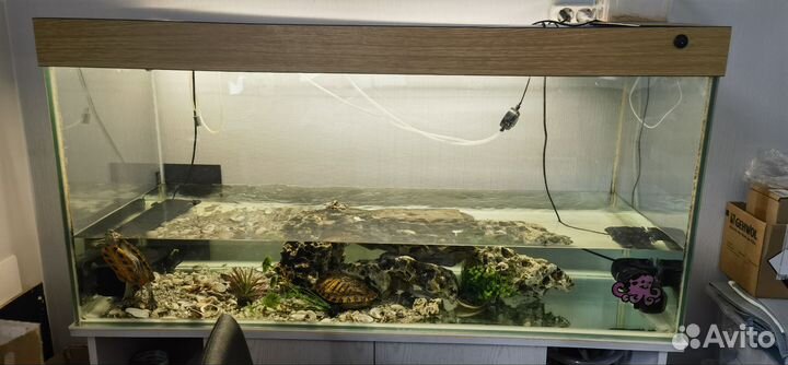Аквариум с черепашками