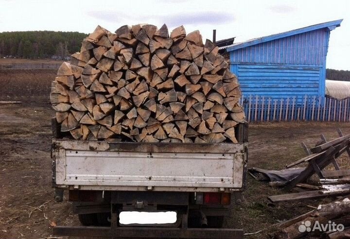Дрова березовые