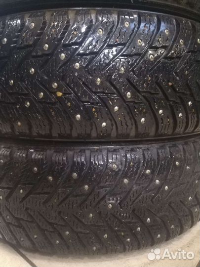 Nokian Tyres Hakkapeliitta 8 185/65 R15