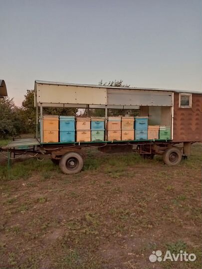 Прицеп для пчел